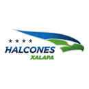 Halcones