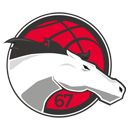 Leicester Riders