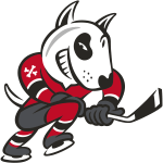 Niagara IceDogs