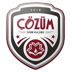 Cozum Ankara Koleji