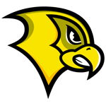 Felician Golden Falcons