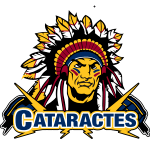 Shawinigan Cataractes